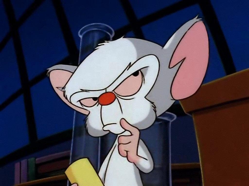 Pinky And The Brain Laptop Wallpaper 4k