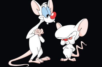 Pinky And The Brain Pc Wallpaper