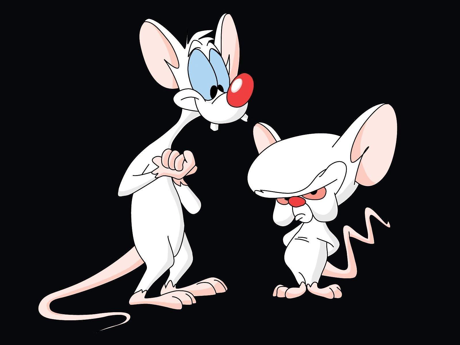 Pinky And The Brain Pc Wallpaper