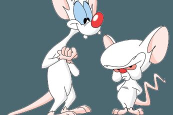 Pinky And The Brain Wallpaper 4k Download