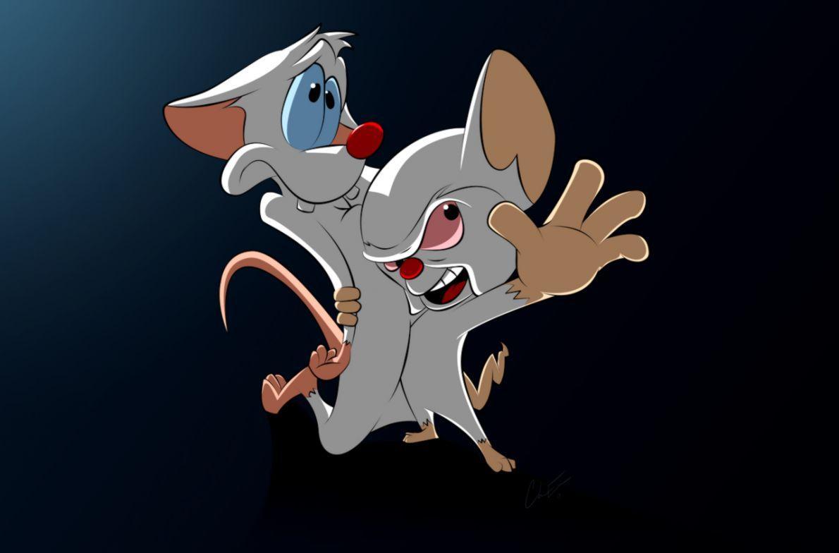Pinky And The Brain Wallpaper 4k Download For Laptop