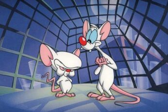 Pinky And The Brain Wallpaper 4k For Laptop