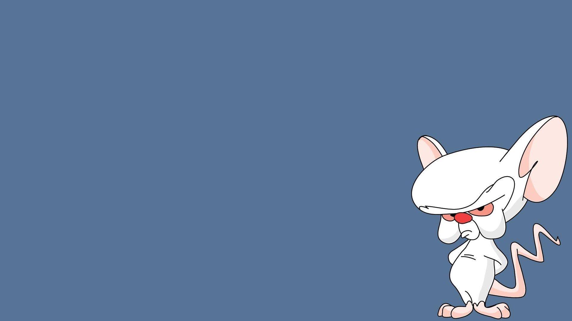Pinky And The Brain Wallpaper Download