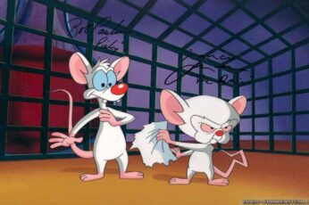 Pinky And The Brain Wallpaper For Pc