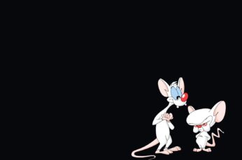 Pinky And The Brain Wallpaper For Pc 4k Download