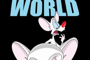 Pinky And The Brain Wallpaper Hd