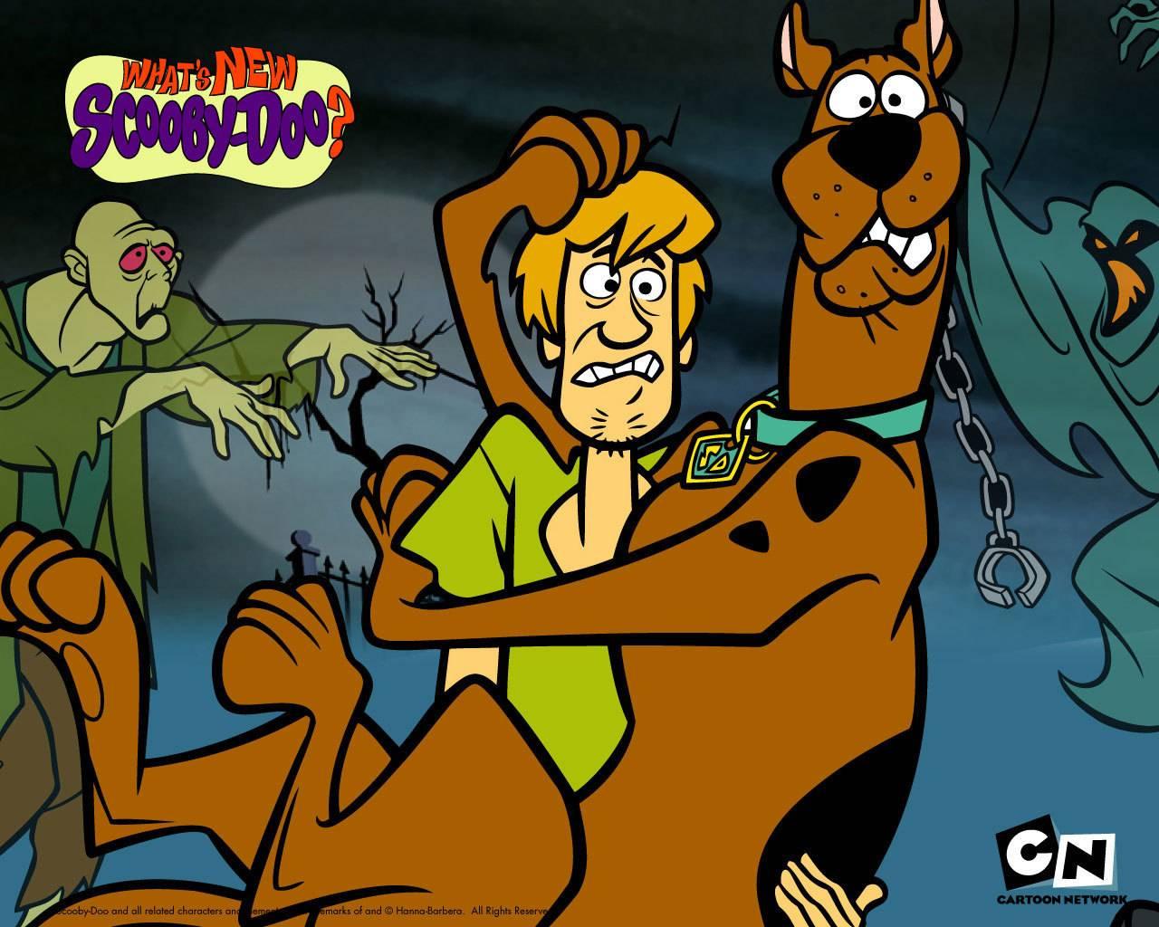 Scooby Doo Desktop Wallpaper, Scooby Doo, Cartoons
