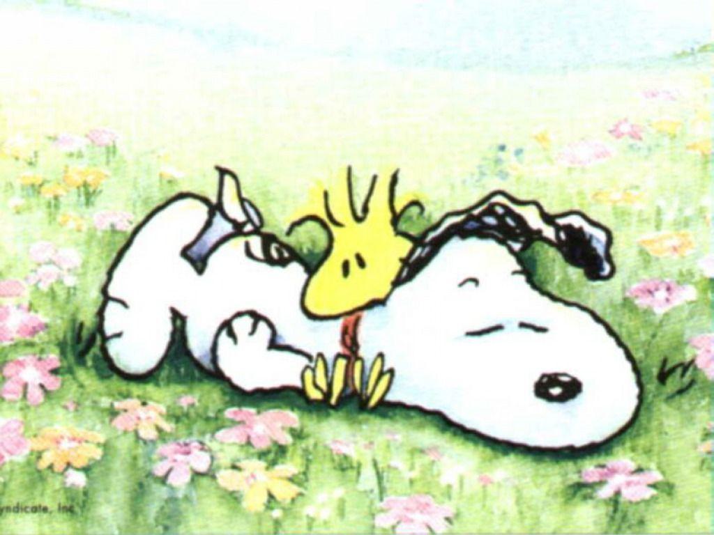 Snoopy Wallpapers For Free