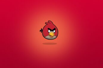 Angry Birds 4K Ultra Hd Wallpapers
