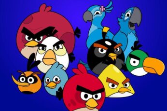 Angry Birds Best Wallpaper Hd