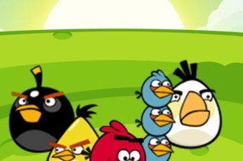 Angry Birds Desktop Hd Wallpaper 4k