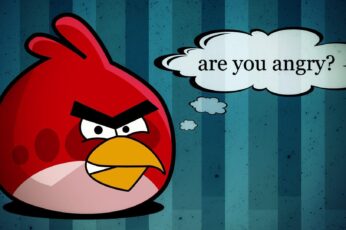 Angry Birds Hd Wallpapers For Pc