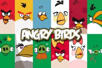 Angry Birds New Wallpaper