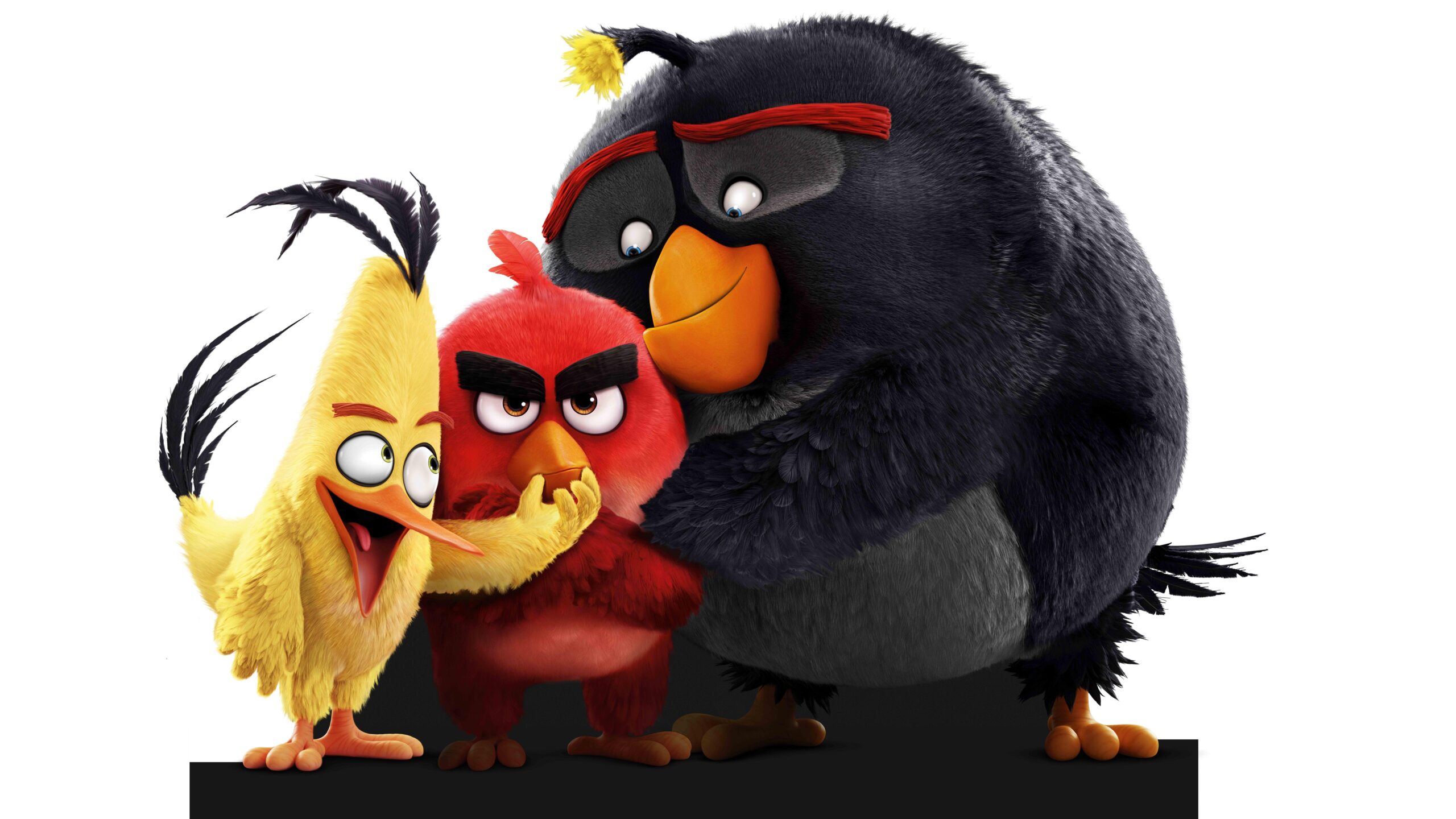 Angry Birds Pc Wallpaper 4k, Angry Birds, Game