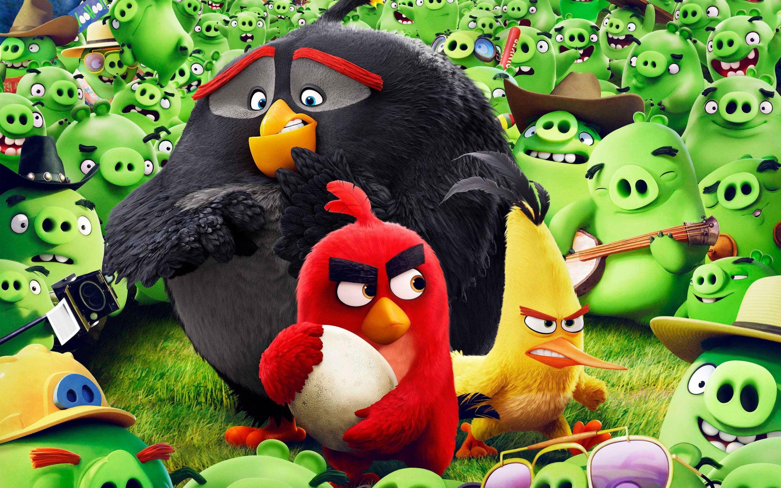 Angry Birds Wallpaper Download, Angry Birds, Game