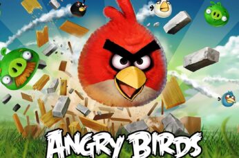 Angry Birds Wallpaper Photo