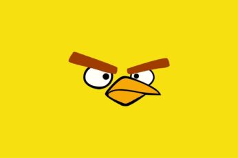 Angry Birds ipad wallpaper
