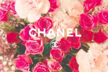 Coco Chanel Wallpapers For Free