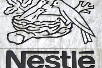Nestle Hd Wallpaper 4k Download Full Screen