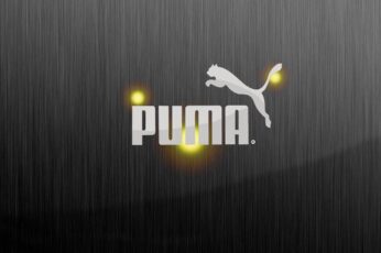 Puma Wallpaper 4k For Laptop