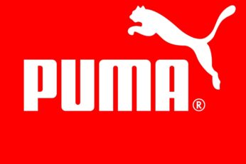 Puma Wallpaper Download