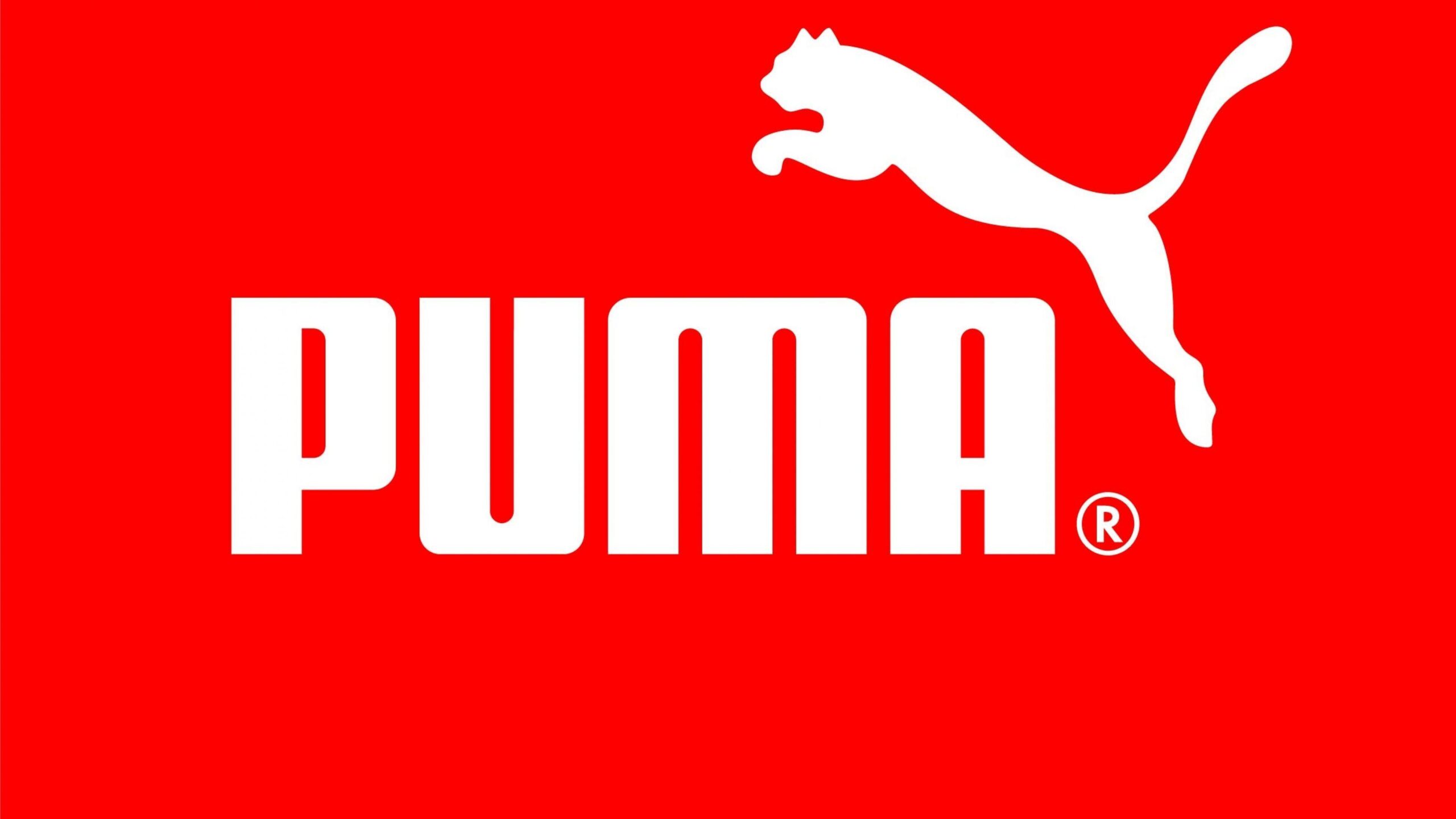 Puma Wallpaper Download
