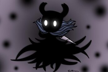 Hollow Knight Hd Best Wallpapers