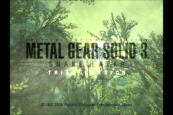Metal Gear Solid 3 Snake Eater 1080p Wallpaper