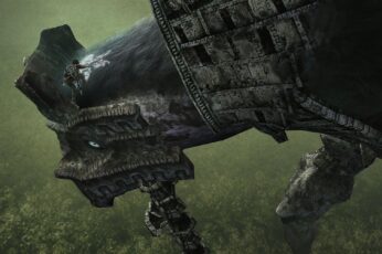 Shadow Of The Colossus wallpaper for phone