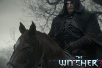 The Witcher 3 Wild Hunt Best Wallpaper Hd
