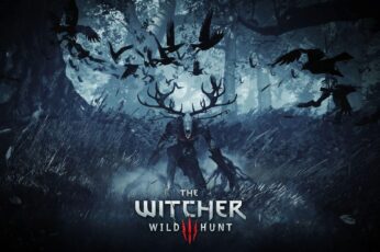 The Witcher 3 Wild Hunt Hd Best Wallpapers