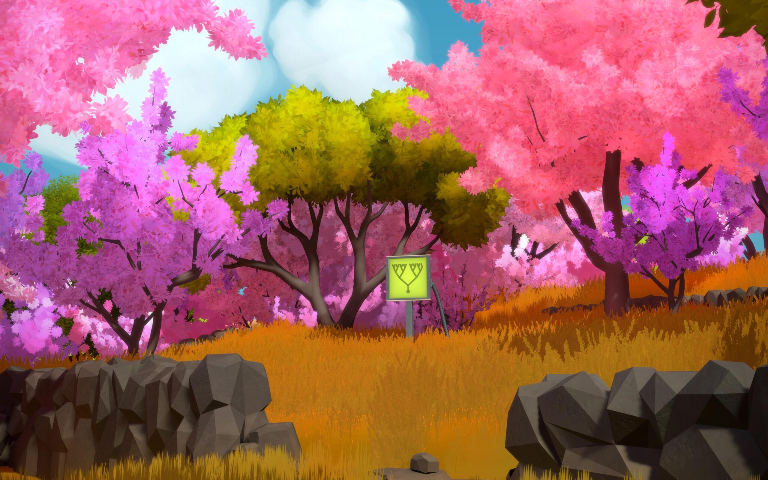 The Witness Game Desktop Wallpaper Hd, The Witness Game, Game