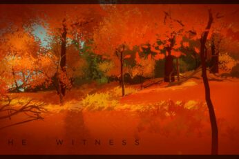 The Witness Game Hd Wallpaper