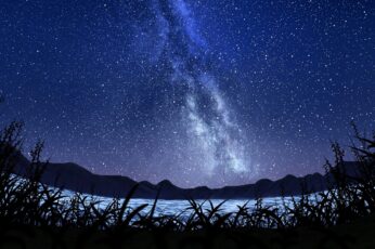 4k Summer Night Hd Wallpapers For Pc