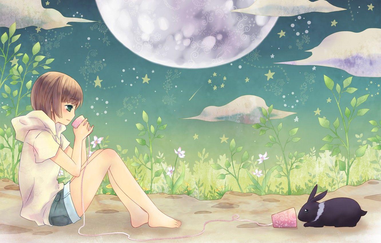 Anime Summer Nights 4k Wallpaper