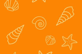 Orange Summer Collage Desktop Wallpapers