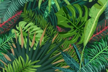 Plants Summer Wallpaper Download