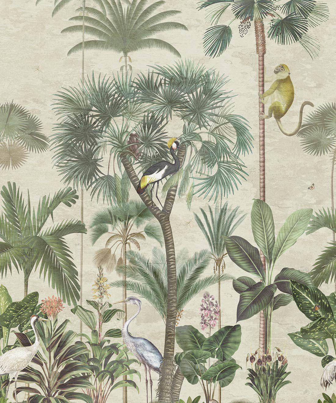Plants Summer Wallpapers