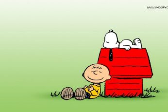 Snoopy Summer Computer Hd Wallpapers For Pc