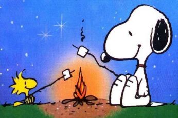 Snoopy Summer Computer Wallpaper For Ipad