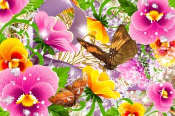 Summer Butterfly Best Wallpaper Hd