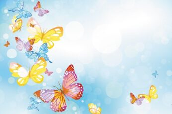 Summer Butterfly Desktop Wallpaper