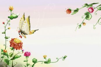 Summer Butterfly Free Desktop Wallpaper