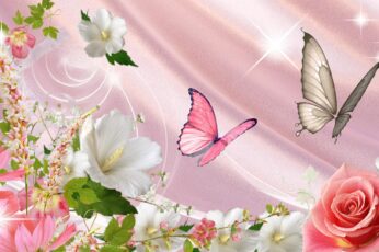 Summer Butterfly Pc Wallpaper 4k