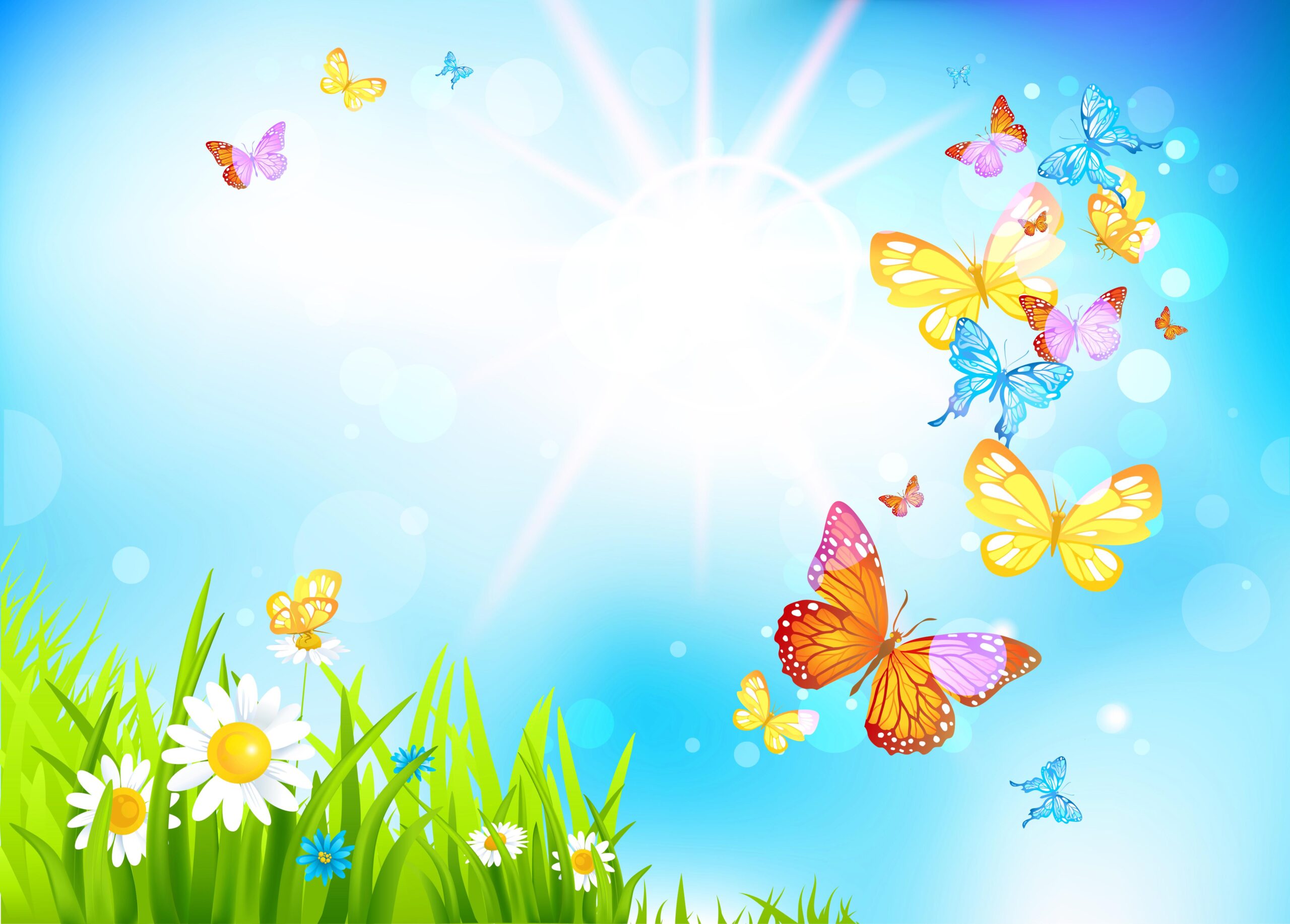 Summer Butterfly Wallpaper Hd, Summer Butterfly, Nature