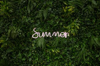 Summer Graphic Free 4K Wallpapers
