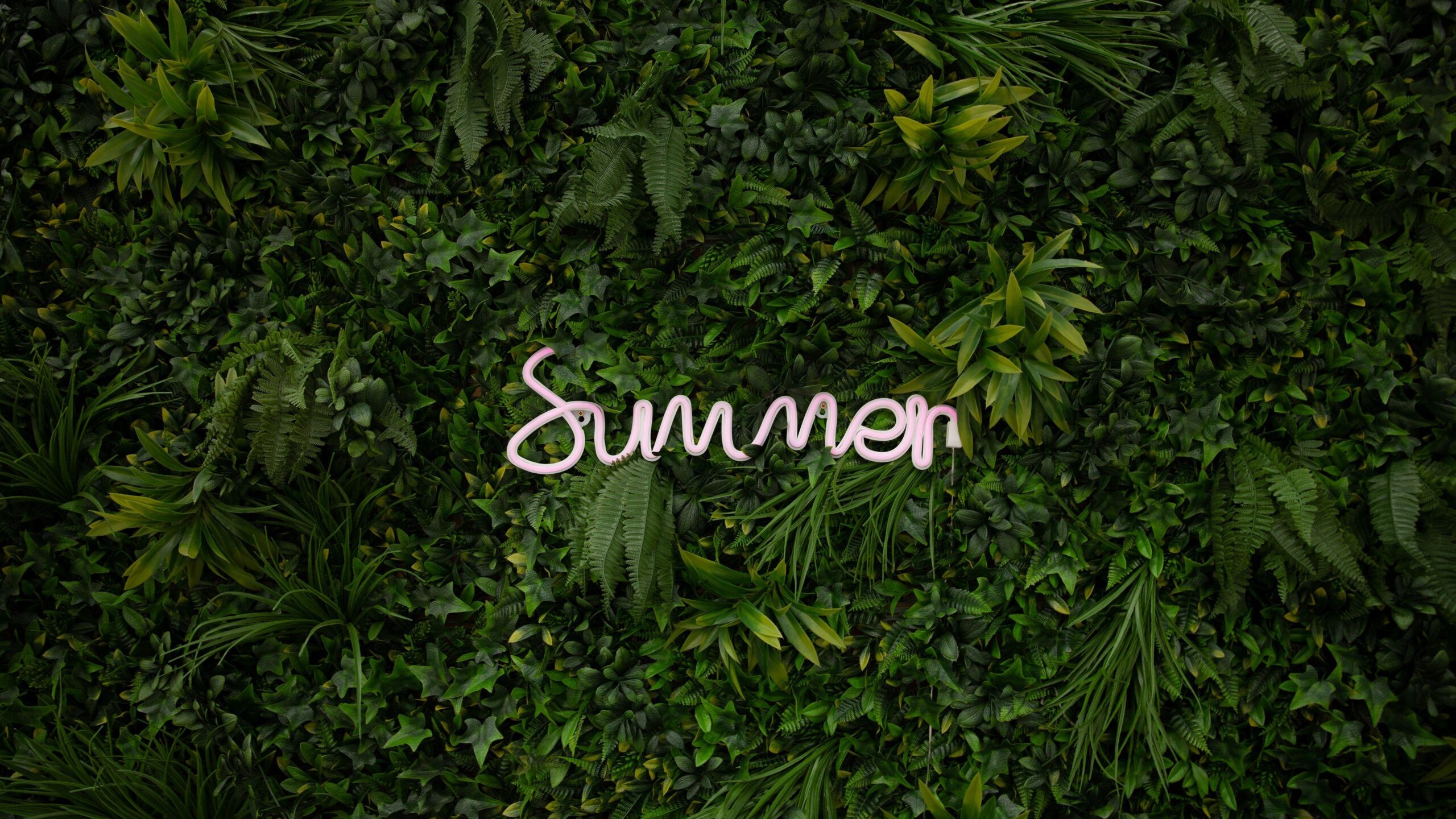 Summer Graphic Free 4K Wallpapers