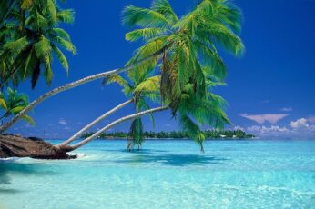 Summer Tropical Vacation HD Desktop Wallpaper 4k