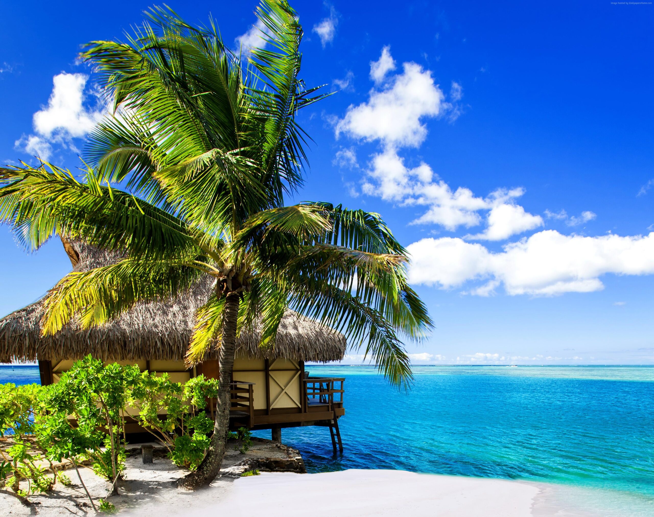 Summer Tropical Vacation HD Download Wallpaper