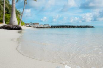 Summer Tropical Vacation HD Wallpaper 4k Download